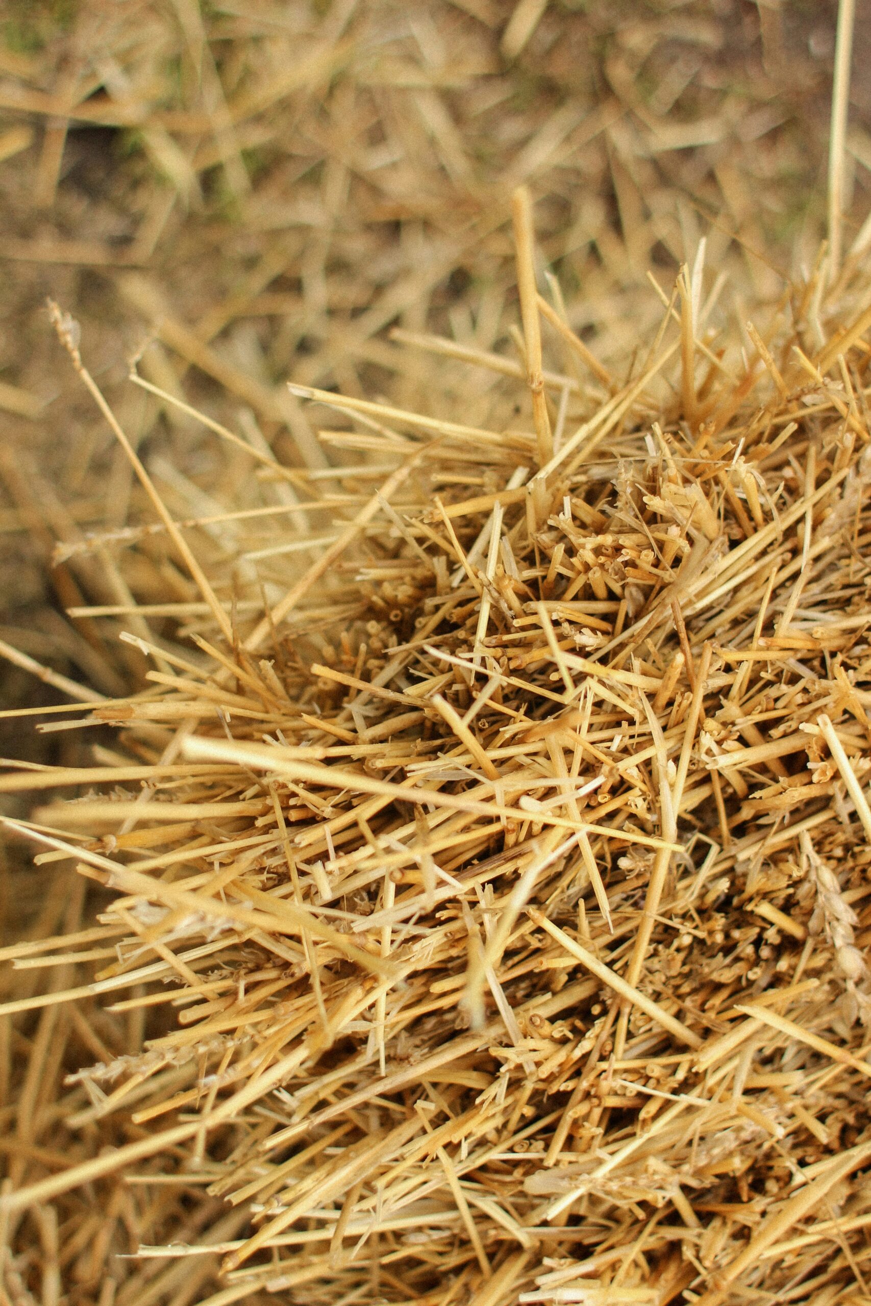 paille_produit_biosource