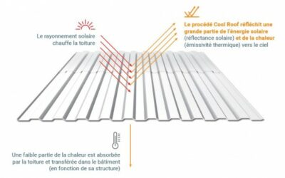 CoolRoof : La peinture innovante pour des économies d’énergie durables